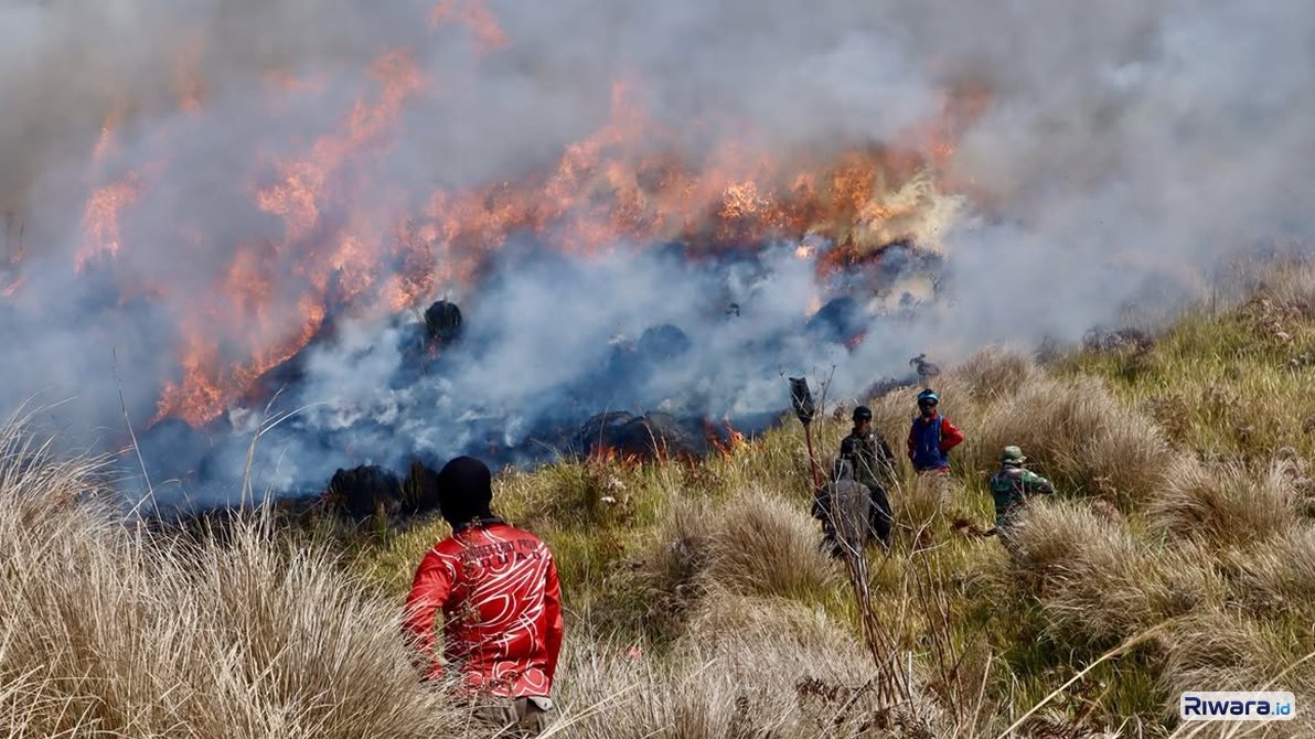 Petugas tak kenal lelah berjuang memadamkan api di kawasan Bromo